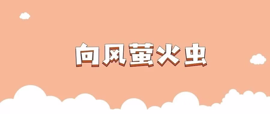 向风萤火虫精选：三平台一键采集解析，高效选品铺货