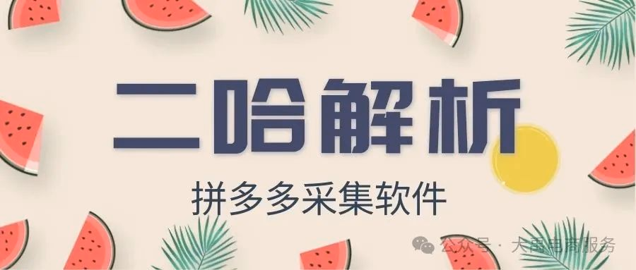 二哈解析：拼多多采集神器，实时数据解析，好用到超乎想象！