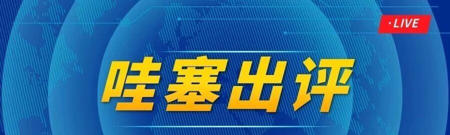 哇塞出评：拼多多补单神器，代拍退+虚拟类目全搞定