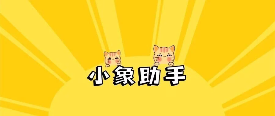 小象助手：拼多多动销出评利器，不限店铺数量，快速提升权重！