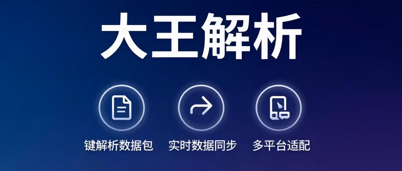 大王解析 —— 拼多多店群商家必备高效工具，一键导出完整数据包，商品极速解析